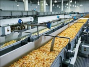 Food Processing line,  in Mumbai