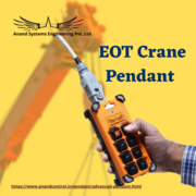 Top EOT crane pendant manufacturer in Mumbai