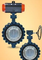 Triple Offset Butterfly Valve Manufacturer & Supplier