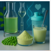 Pea Protein Manufacturer