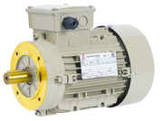 Best Crane Duty Motors in Coimbatore